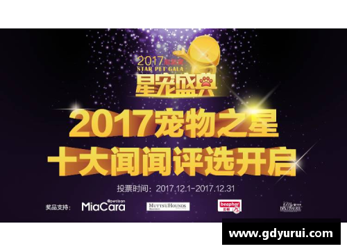 从默默无闻到全球瞩目：体育明星的奋斗与成功之路