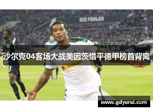沙尔克04客场大战美因茨惜平德甲榜首背离